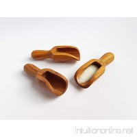 Olive Wood Scoop / Shovel - Set of Three 3.15" (Extra Small size) - Handcrafted Salt Spoon / Sugar Spoon - B073533P1R